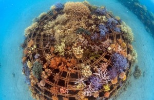 Foto struttura 5