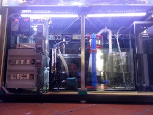 LUCE Mobile acquario 3