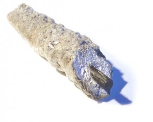 crescita aragonite su ferro